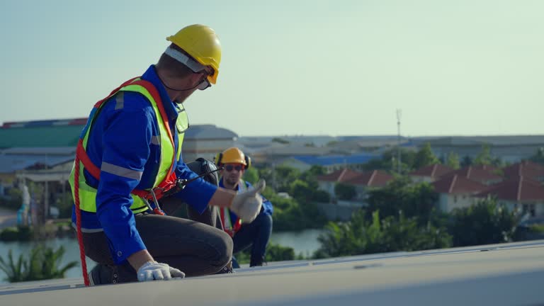 Best Roof Insulation Installation  in Alma, NE
