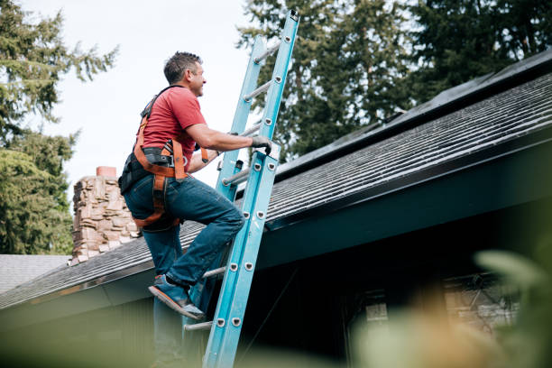 Best Roof Waterproofing  in Alma, NE
